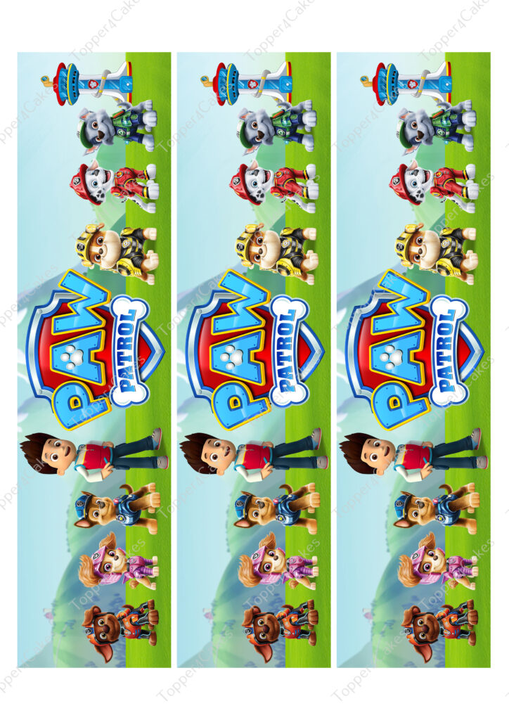 A vibrant banner showcases animated characters from a popular children's show, adorned with Edible Paw Patrol Ribbon. The scene features several dogs dressed in rescue gear and a boy standing amid a grassy field, all under a bright blue sky. The show's logo is prominently displayed.