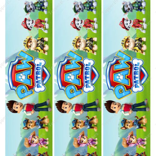 A vibrant banner showcases animated characters from a popular children's show, adorned with Edible Paw Patrol Ribbon. The scene features several dogs dressed in rescue gear and a boy standing amid a grassy field, all under a bright blue sky. The show's logo is prominently displayed.