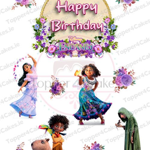 Colorful Happy Birthday sign with Encanto characters and logo, plus floral accents—perfect to pair with Edible Leinster Rugby Cutout Toppers (Copy) for a unique celebration.